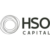 HSO Capital logo - Similar company to Synergy Groups