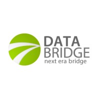 Data Bridge logo - Similar company to Data Bridge