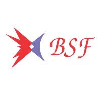 BS PROJECTS PVT. LIMITED logo - Similar company to Poly Chem Process Equipments Pvt.Ltd