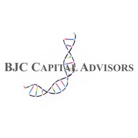 BJC Capital Advisors LLC logo - Similar company to Brattle Advisors