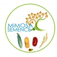 Mimosa Semence logo - Similar company to Semence Nature