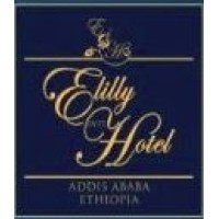 Elilly International Hotel logo - Similar company to Inter Luxury Hotel