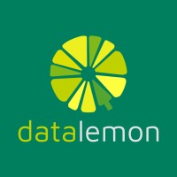 Datalemon logo - Similar company to Cirble Group