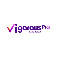 VigorousPro IT Solutions logo - Similar company to I Solution Expert