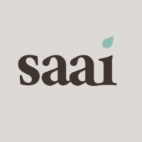 SAAI TECHNOLOGY LMT INDIA logo - Similar company to Sark System India Lmt