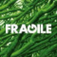 FRAGILE Design Studio logo - Similar company to Visualmade