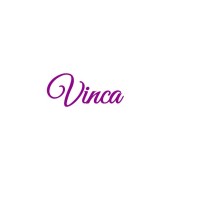 Vinca Medya logo - Similar company to Systems Navigator