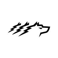 Wolf Group Latvia logo - Similar company to Latvijas Mikroķirurģijas Centrs  (Microsurgery Centre Of Latvia)