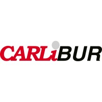 Carlibur, S.L. logo - Similar company to Blasgon
