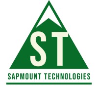 Sapmount Technologies Inc logo - Similar company to Netsec