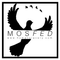 MOSAIC FEDERATION logo - Similar company to Mosaic