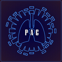 The Protected Airway Collaborative logo - Similar company to Ideate Ireland