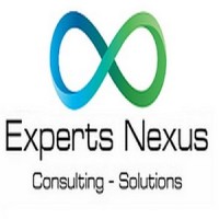 Experts Nexus logo - Similar company to I