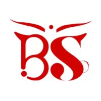 Blipsnipgroup logo - Similar company to Certvalue - Global Consulting & Certification