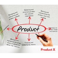 Project X logo - Similar company to Loop Connect