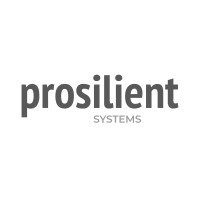 Prosilient Systems Inc. logo - Similar company to Nfluencerr