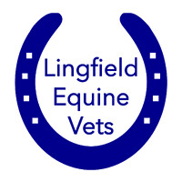 Lingfield Equine Vets logo - Similar company to Paragon Veterinary Group