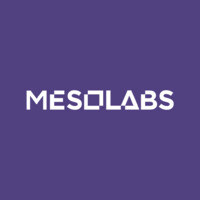 MesoLabs logo - Similar company to Suilend