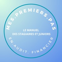 Mes premiers pas en Audit Financier logo - Similar company to Wildstein Analytics