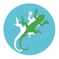 Lizard Landscape Design and Ecology logo - Similar company to Phlorum