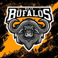 Equipe Baja Búfalos - Unesp Sorocaba logo - Similar company to Baja Ufabc