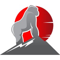Silverback Agency logo - Similar company to Mmo Spa