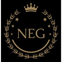 Nexus Executive Group Inc logo - Similar company to 407 Solutions