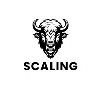Bizon Scaling logo - Similar company to El I As