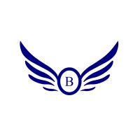 blue Wings Rebar logo - Similar company to Thach Enterprise