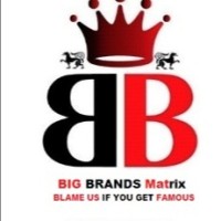 Big Brands Matrix logo - Similar company to Makeover Lab