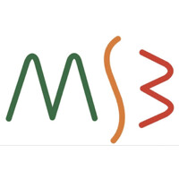 MSB Training Consultancy logo - Similar company to Wg Electrical