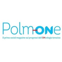 Polm-ONe logo - Similar company to Sos Srl