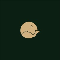 Camel logo - Similar company to Wpdesignfix