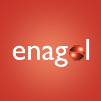 Enagol - Energias de Angola logo - Similar company to Lambda Engineering