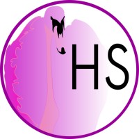 Daniela Hildebrandt, Hildebrandt Shamanic | Shamanic AI- & IT-Consulting logo - Similar company to New Data Services