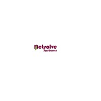 NetSolve Systems LLC logo - Similar company to Rak It Solutions