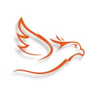 Phoenix Sports logo - Similar company to Tri-Valley Basketball