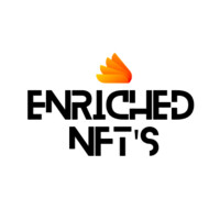 Enriched NFT's logo - Similar company to Chef'S Life Services