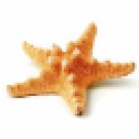 Simplylife Srl