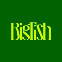 BigFish UAE logo - Similar company to Strategy For Business Solutions