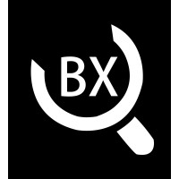 Bx Businessxplainer