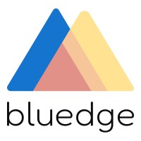 Bluedge USA logo - Similar company to Ecopywriters.Com