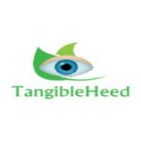 Tangibleheed Infotech Pvt Ltd logo - Similar company to Emotionalytics & Co.