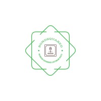 BONDSQUARED GLOBAL CAPITAL SOLUTIONS LLC logo - Similar company to Nflxn Point Group