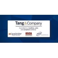 Tang Portia Tang & Company logo - Similar company to The Iia Hong Kong