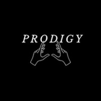 Prodigy Collections logo - Similar company to Connect 365 Social