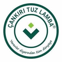 Çankırı Tuz Lamba logo - Similar company to Efsi̇na
