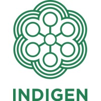 PT INDIGEN KARYA UNGGUL logo - Similar company to Proxy Phone Store