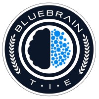 BlueBrain.App logo - Similar company to Futurewaree Ai