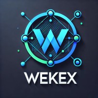 Wekex Technologies logo - Similar company to Adhyatmic